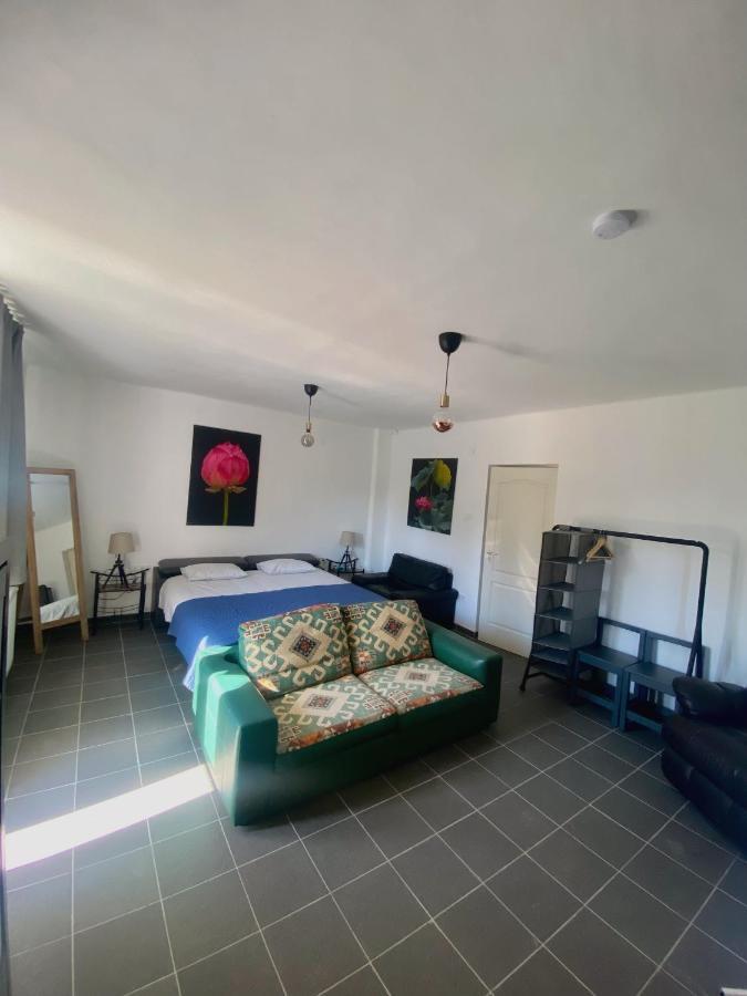 River House - Luxury House On The Border Of The Tisza River Arokto Екстериор снимка